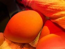 Фото проститутки Карина №2 в городе Иркутск